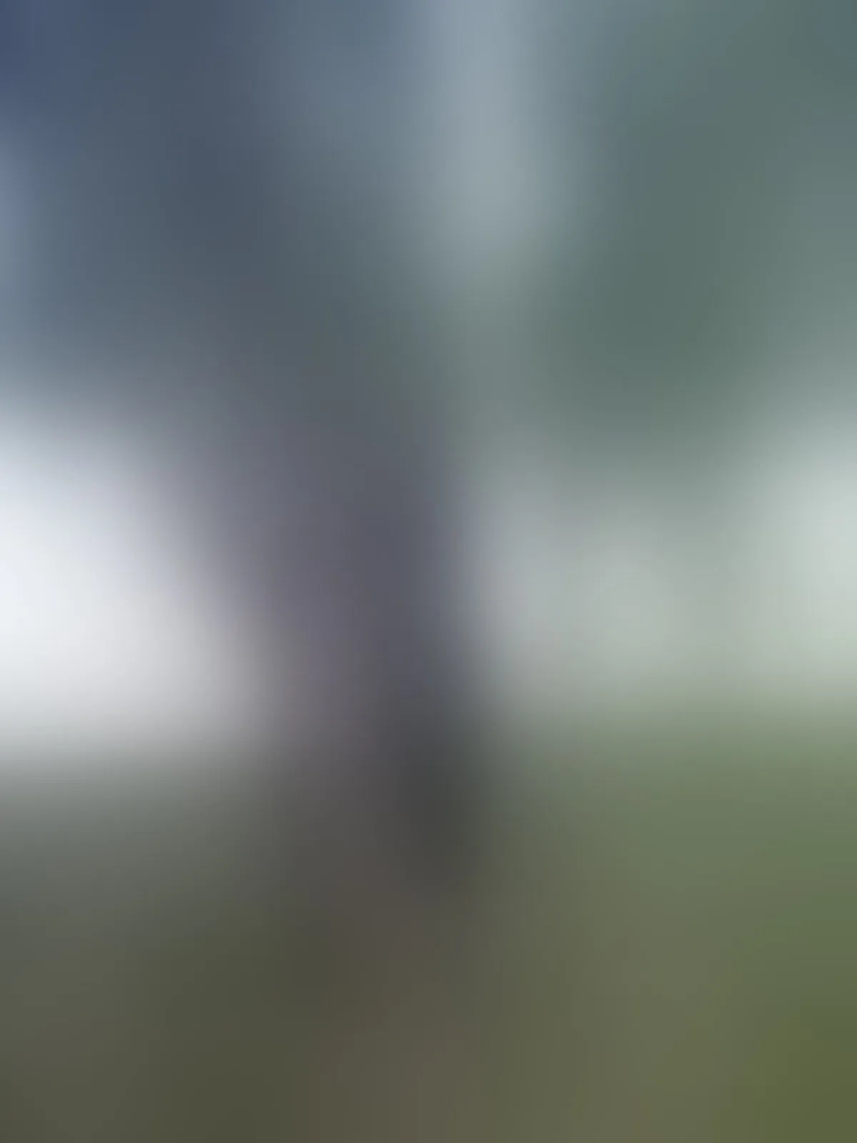 Intérprete LadyDaphnne Foto 1