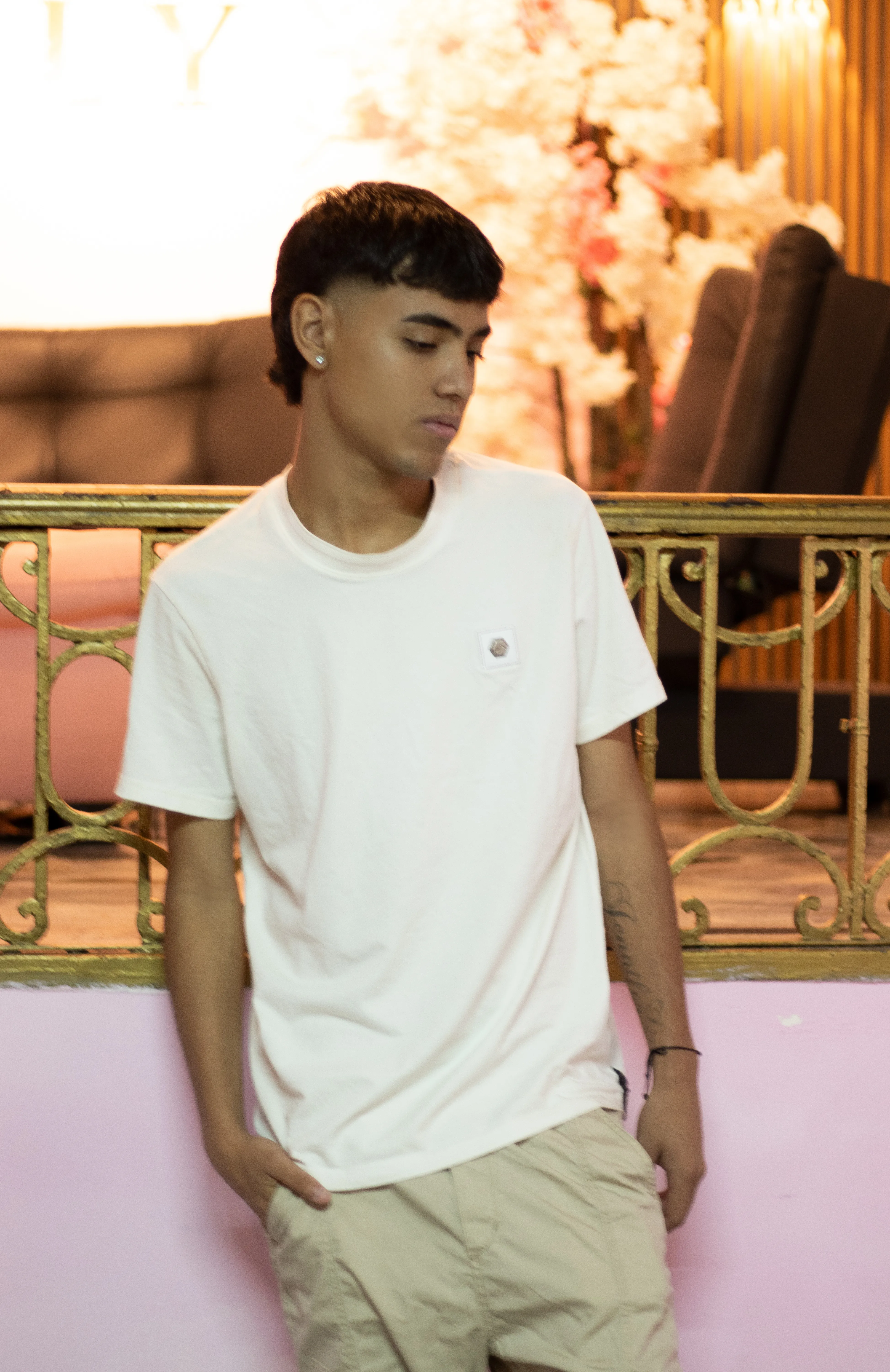 Intérprete Samfrost Foto 4