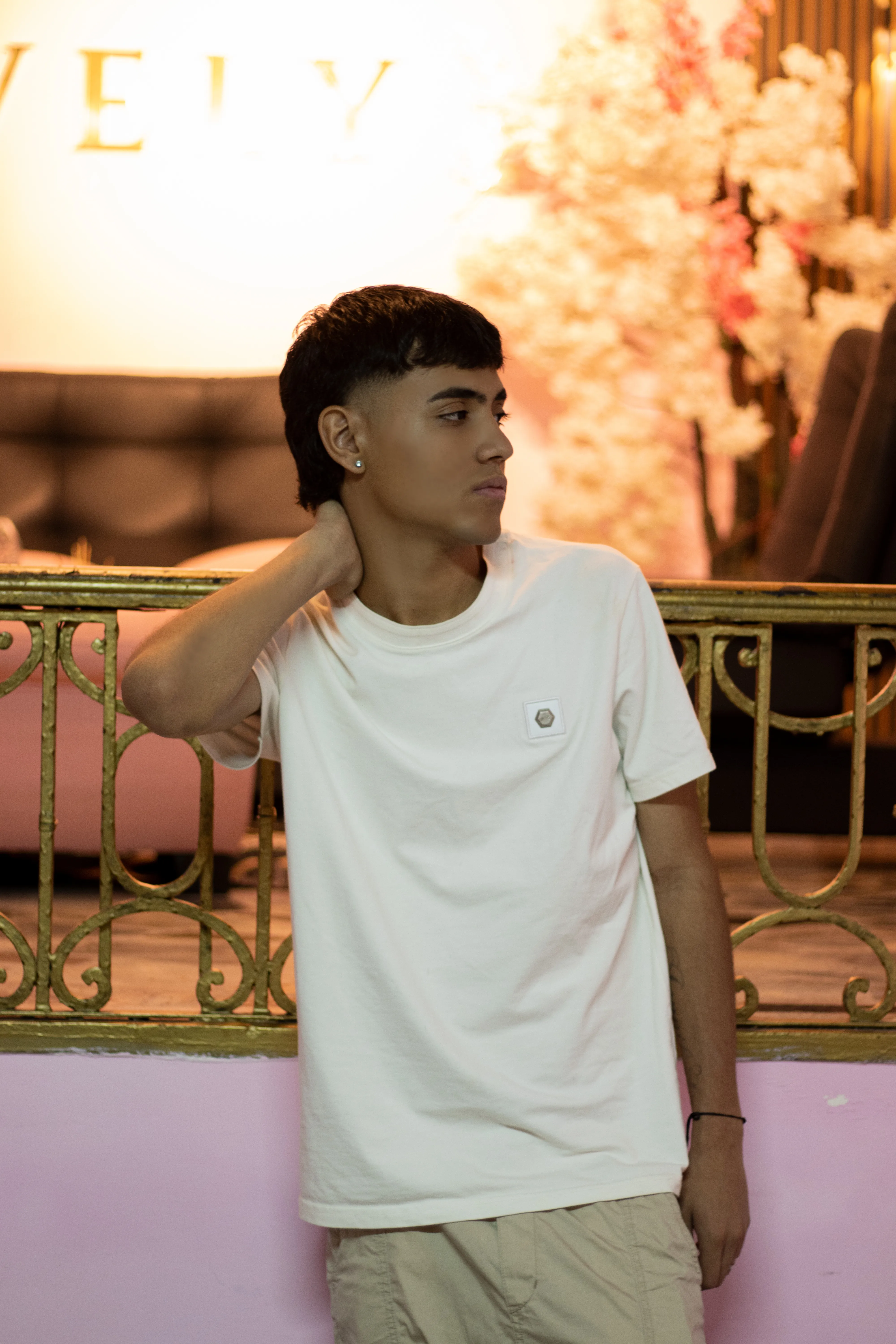 Intérprete Samfrost Foto 7