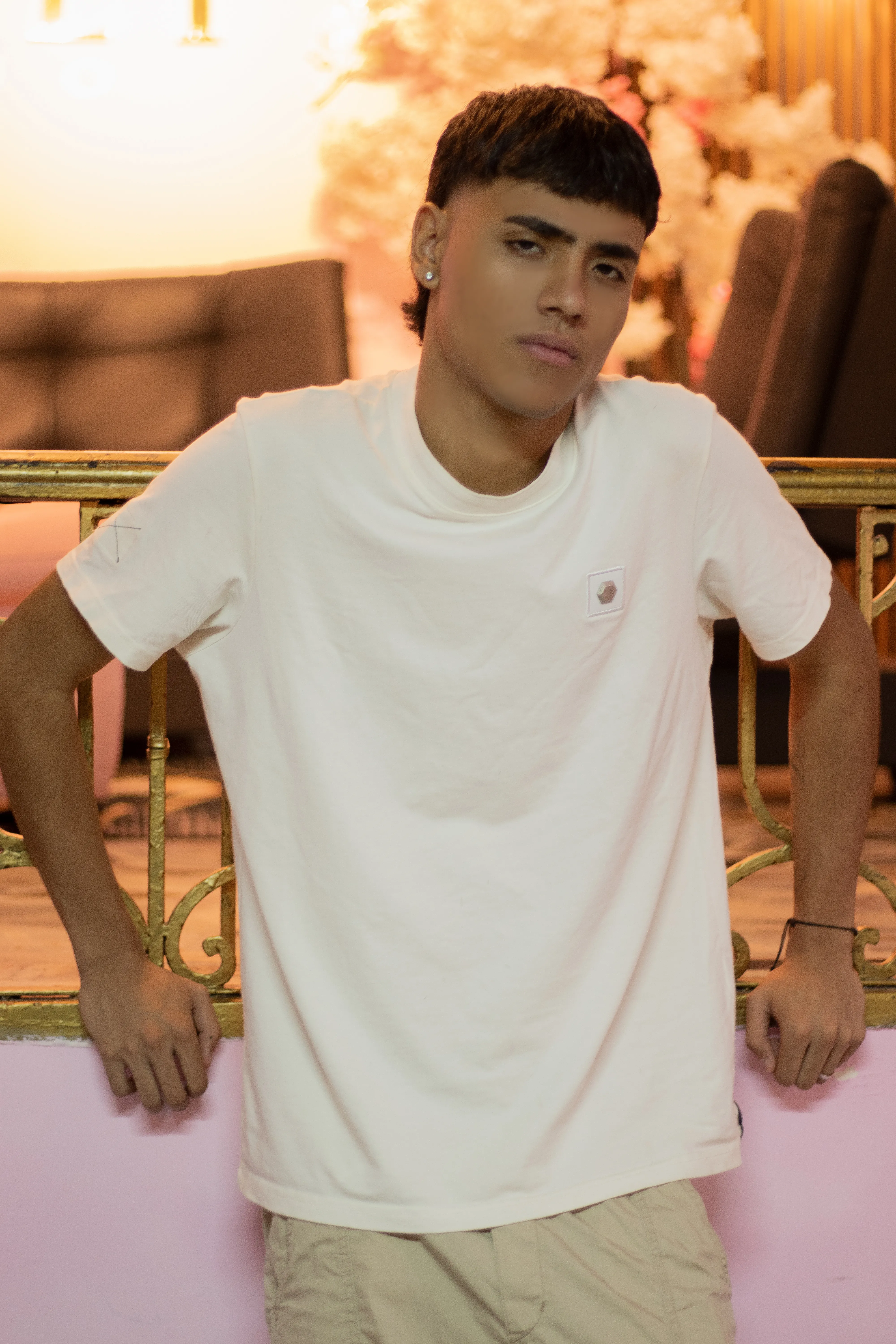 Intérprete Samfrost Foto 3