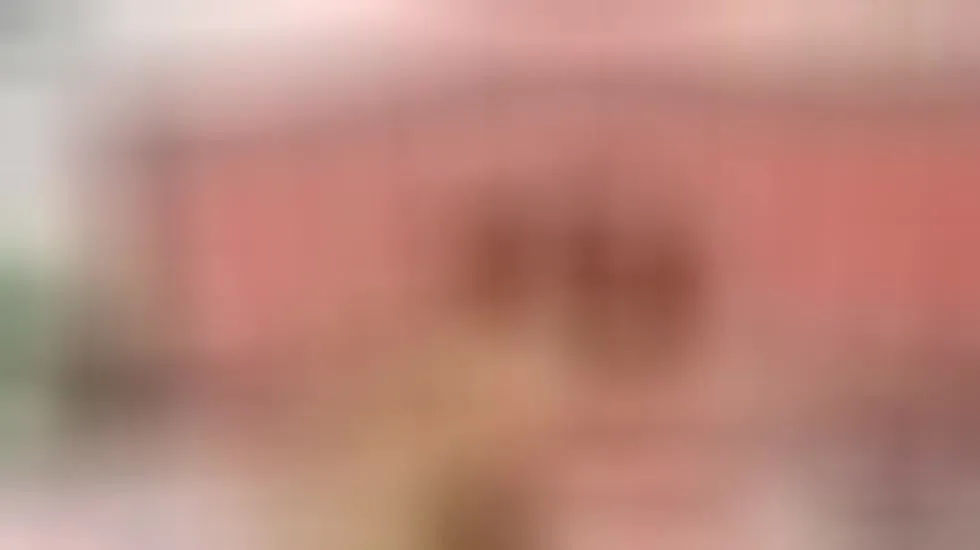 Artiest CelesteShiper Video 1