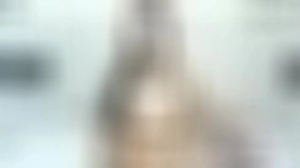 Darsteller Nereadevell Video 1