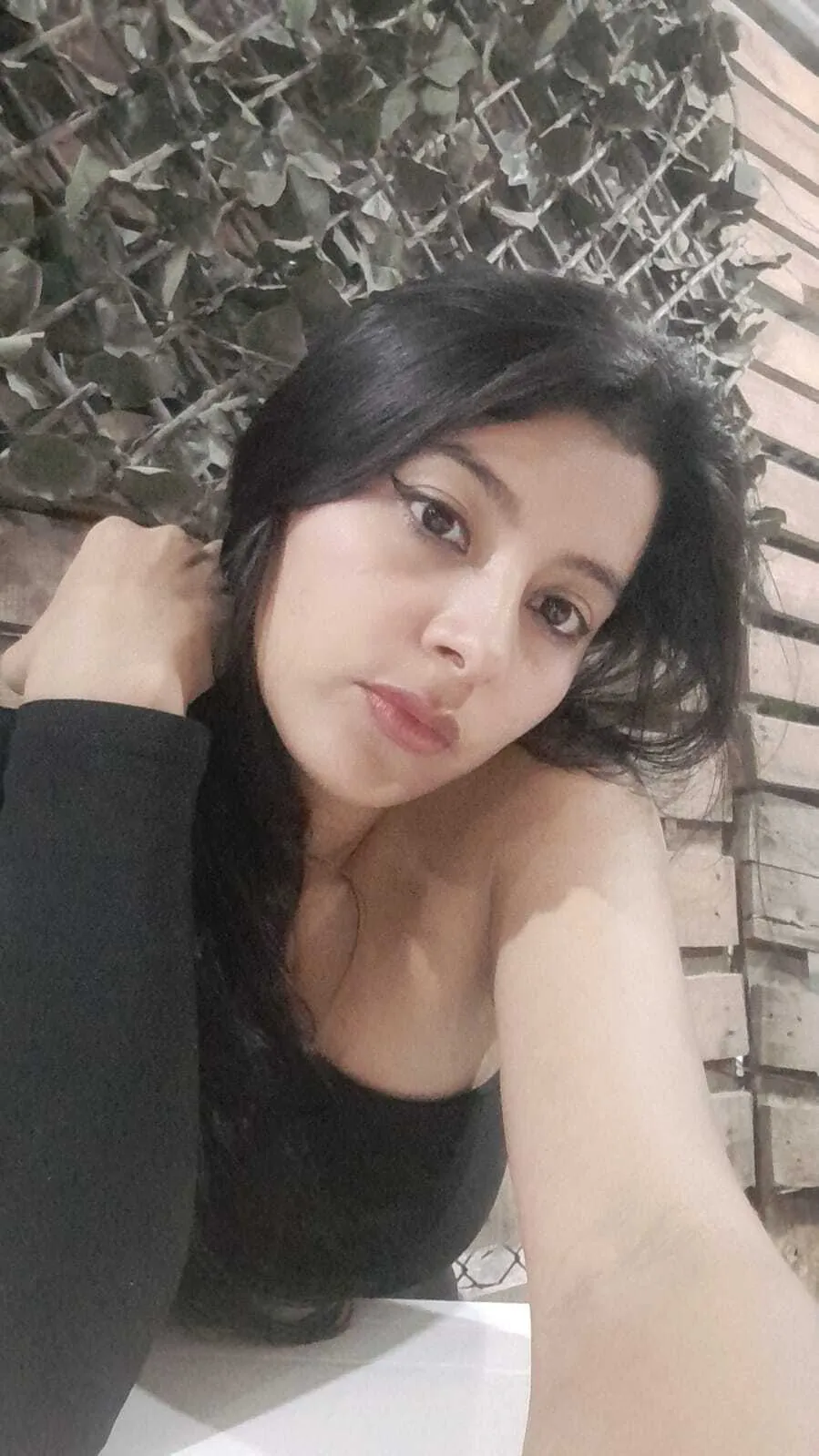 Interprete ariavalless Foto 12