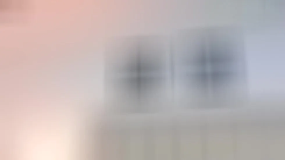 Performer MiilaDream Video 1
