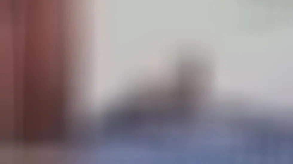 Interprète Penelope_bond Vidéo 1