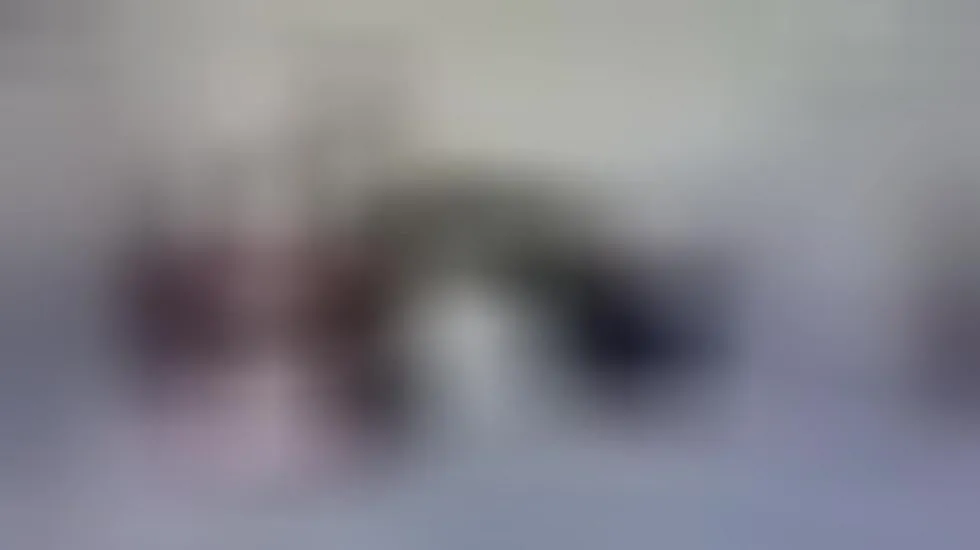 Performer sarablomde Video 1