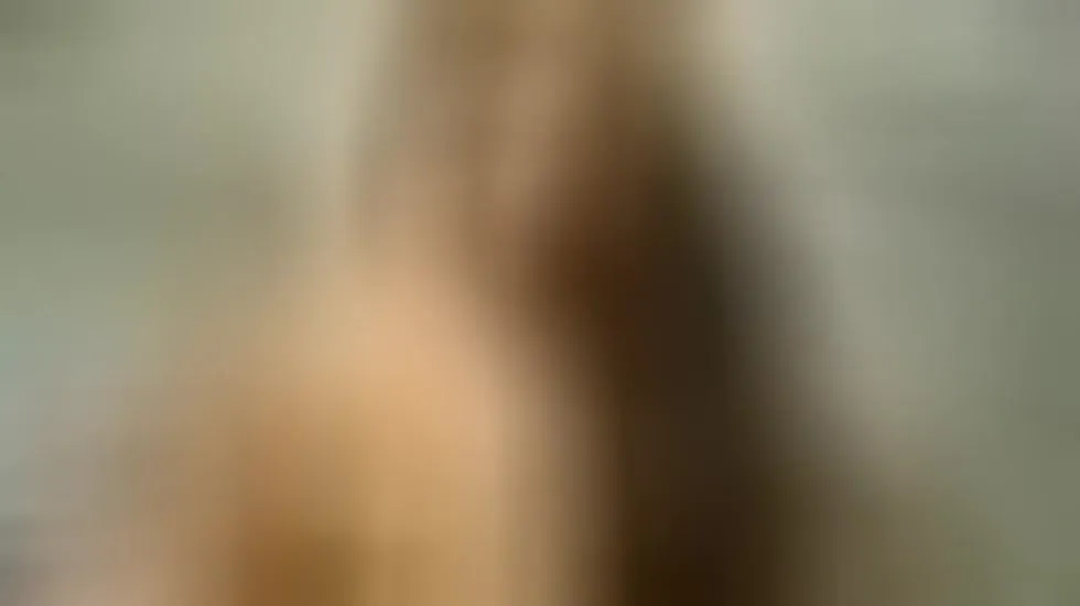 Performer Mavericks_Mayham Video 1