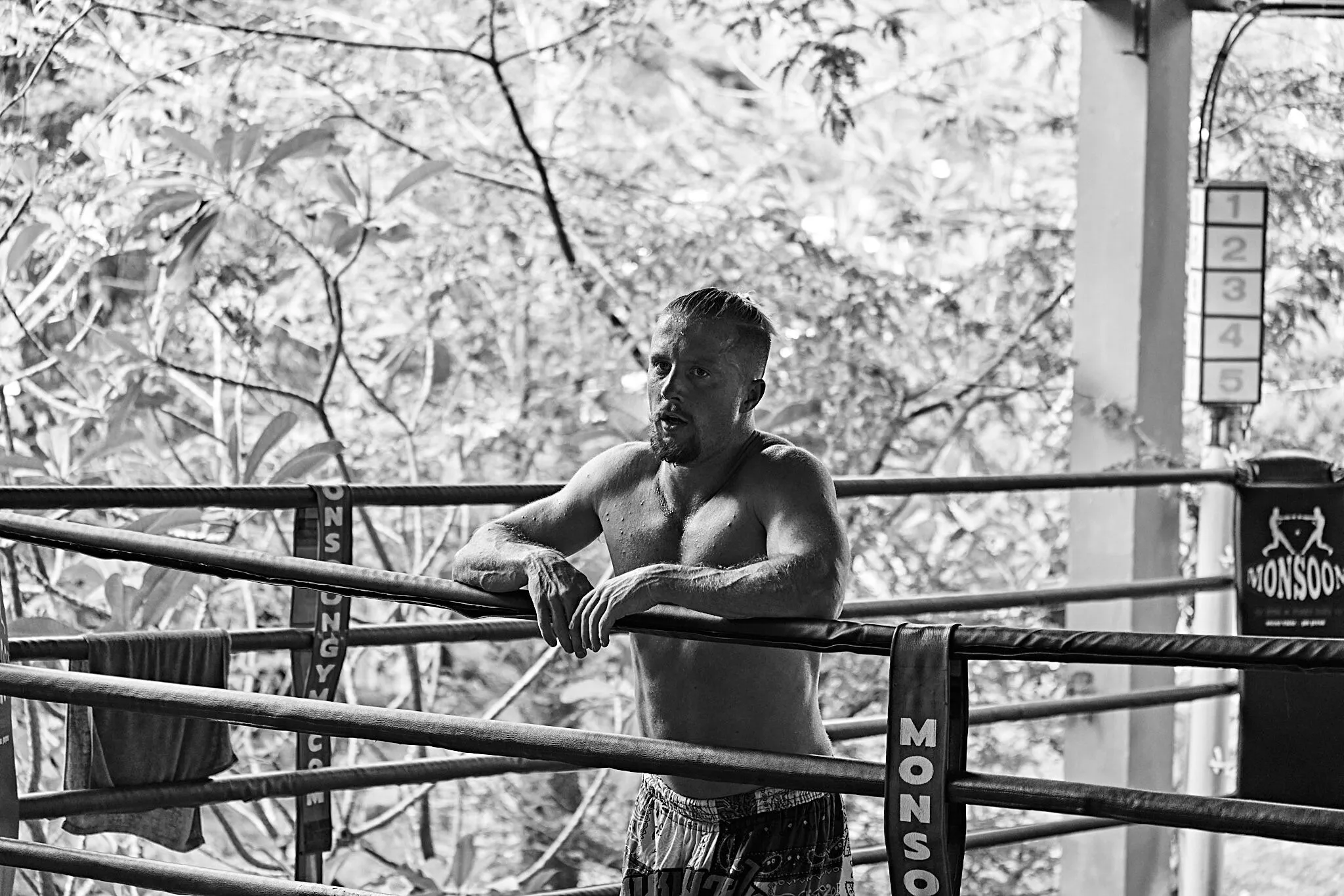 Artista CuriousFighter Foto 1
