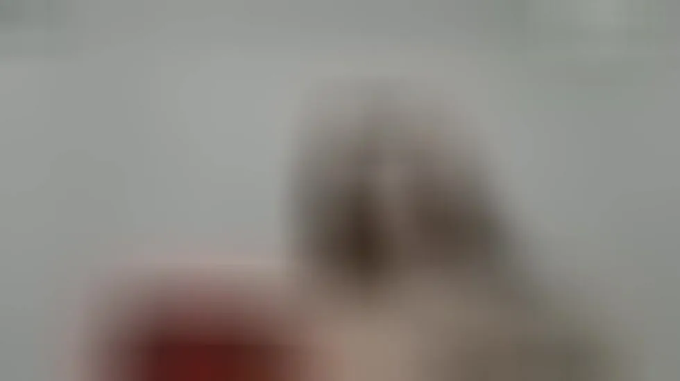 Interprète ZoeAvancini Vidéo 1