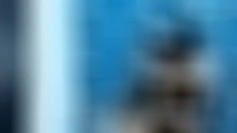 Artista Anthonelatrans Video 1