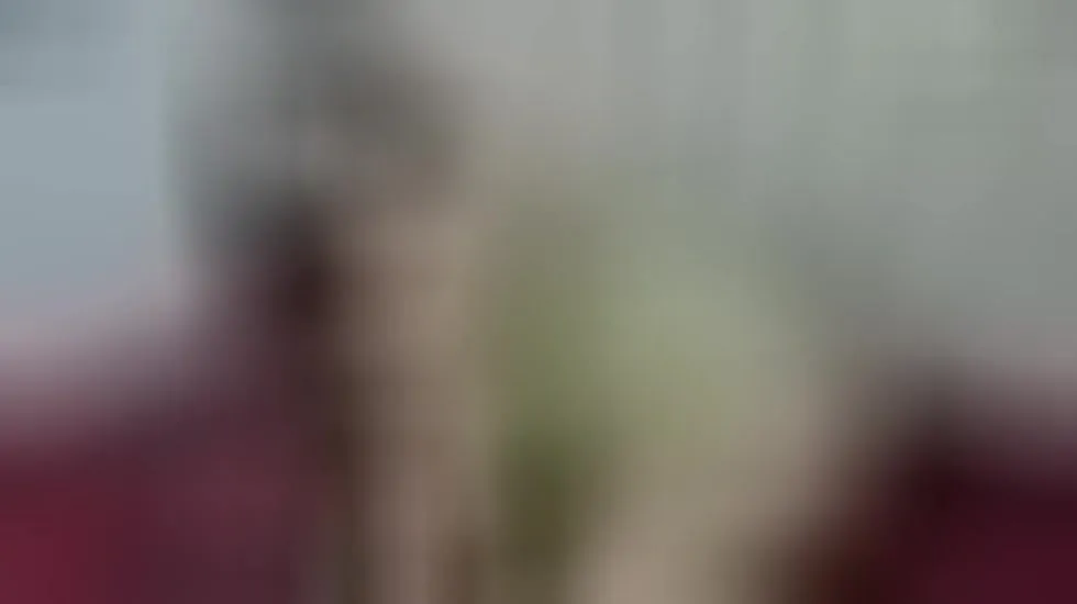 Artist YudiSanabria Video 1