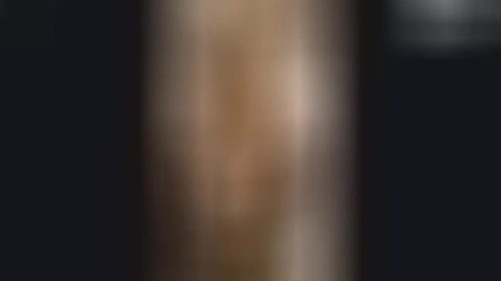 Interprète FelonyRain Vidéo 1