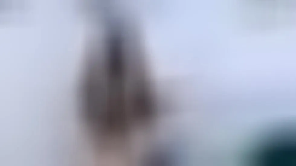 Artist Anita_Sky Video 1
