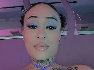 Image de profil du modèle de webcam SinnTheVixen