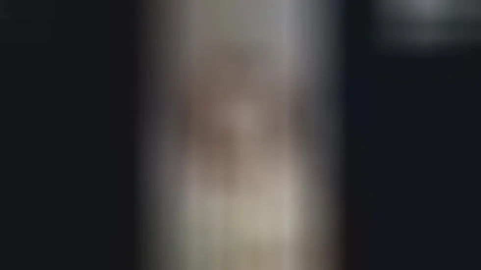 Artista Bellauwu Video 1