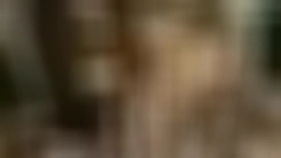 Interprète VivVixenXX Vidéo 1