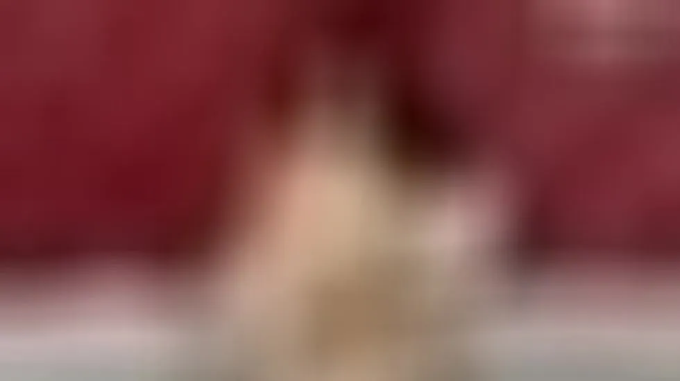 Artiest TamaraRiviera Video 1