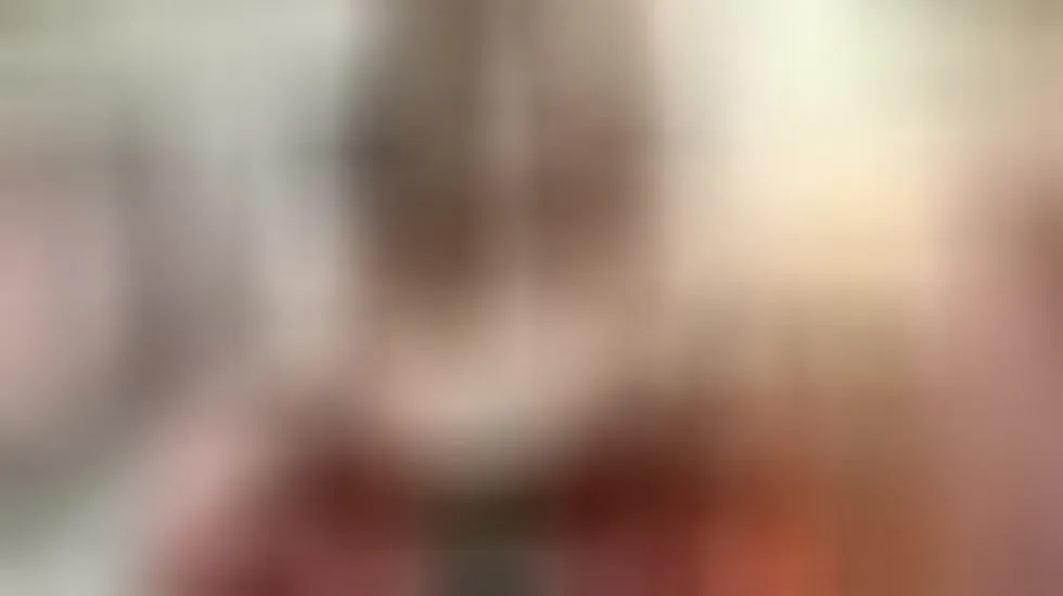 Intérprete HonnieDamm Video 1