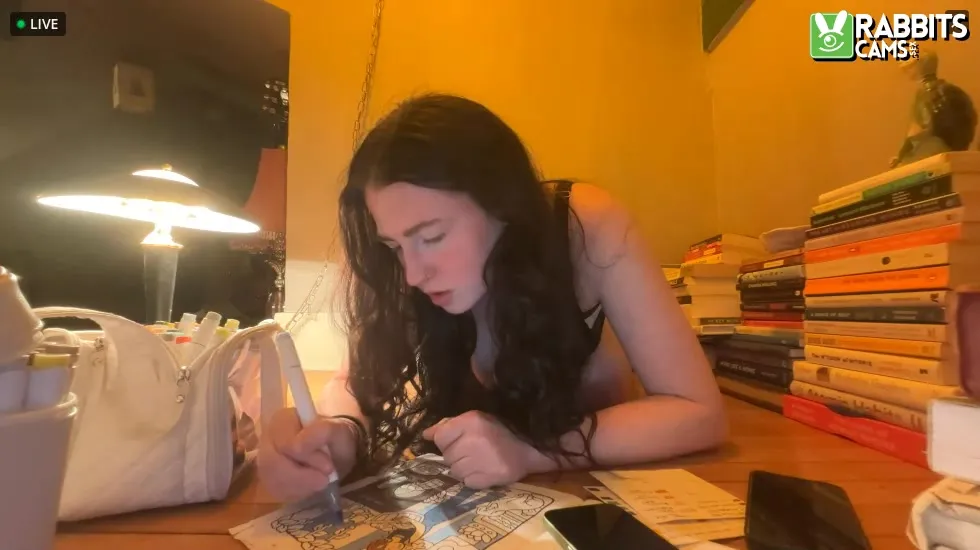 Artiest Avallanchee Video 1