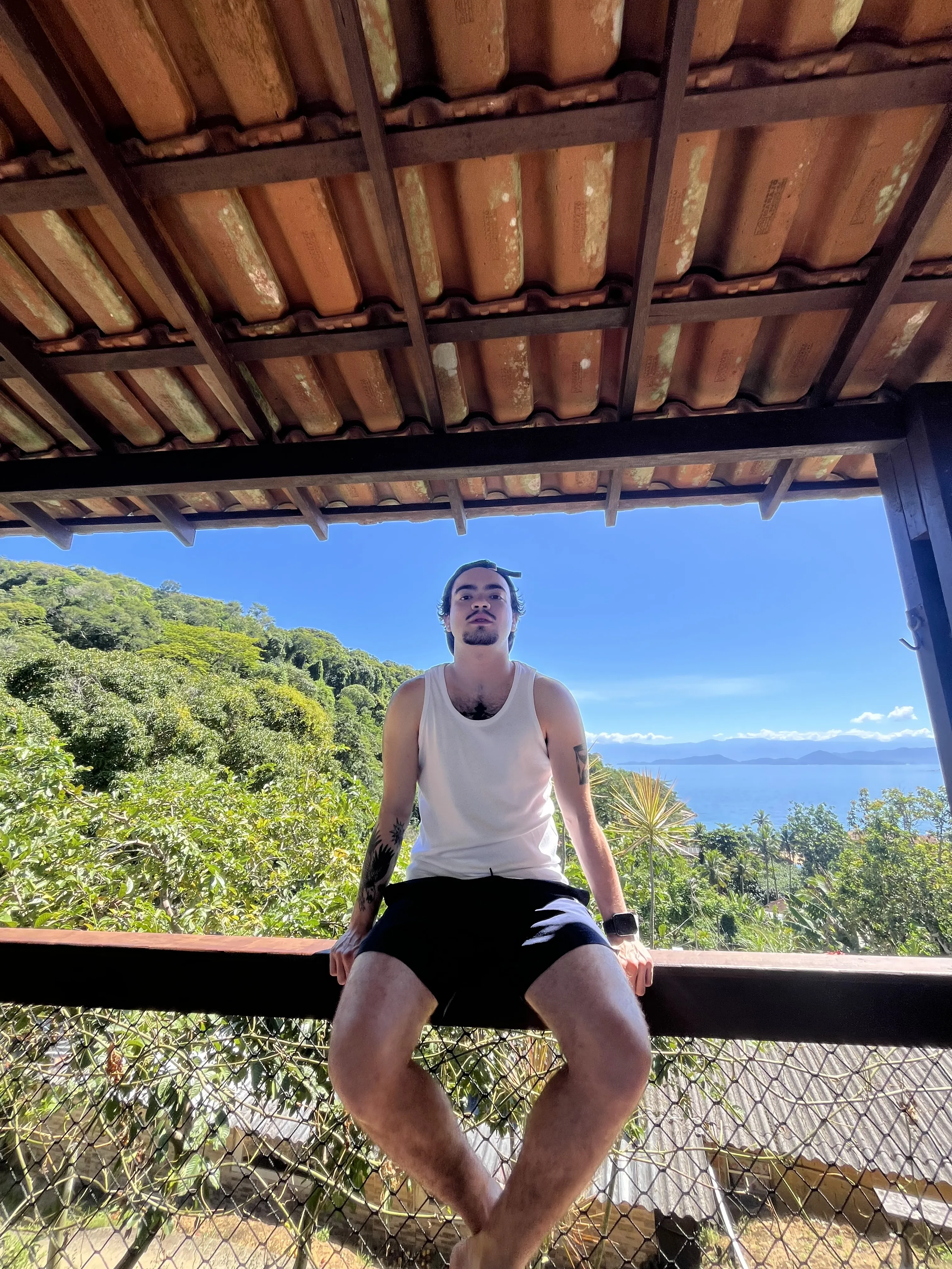 Artista pedr0avarias Foto 1