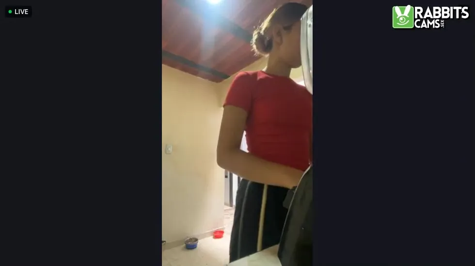 Artista ShakeShake Video 1