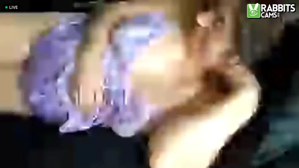Interprete Gigithedoll Video 1