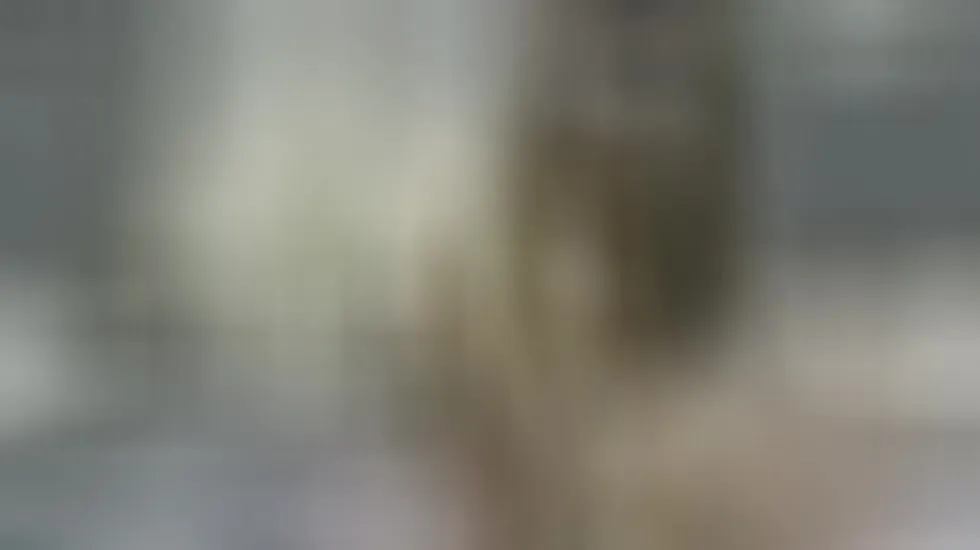 Artiest Ellen_Mackencie Video 1