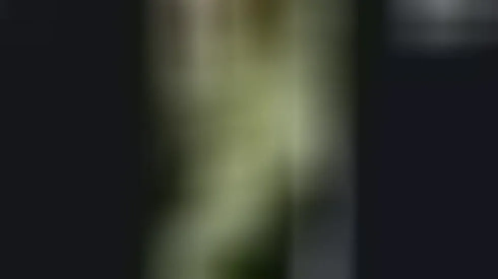 Intérprete Varshi Video 1