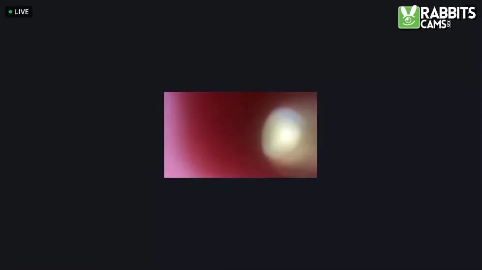 Teaser video 15