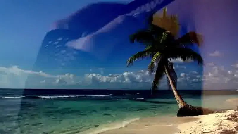 Interprète moonshine Vidéo 4