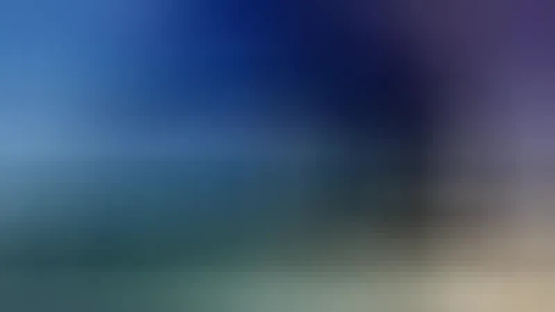 Artist moonshine Video 2
