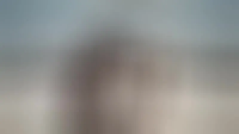 Interprète moonshine Vidéo 1