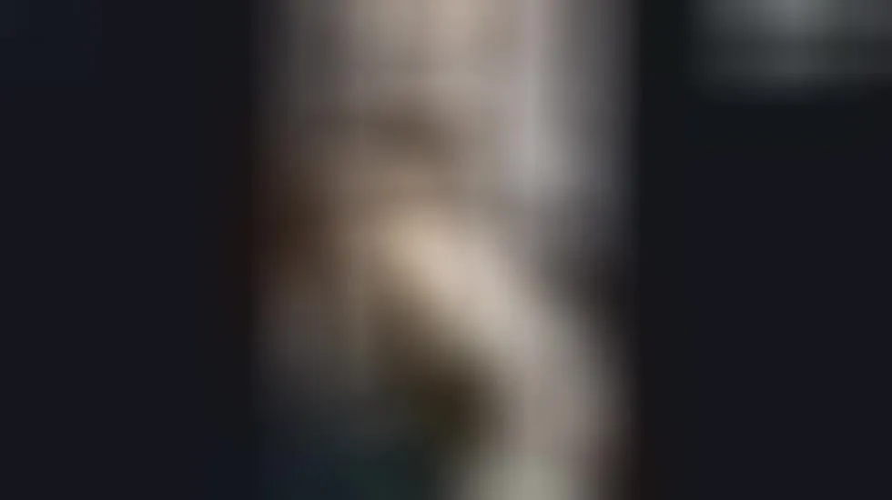 Artista Fenix2026 Video 1