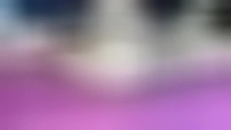 Interprète AsshleyPrince Vidéo 1