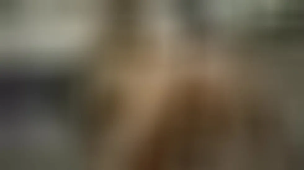 Darsteller RoshemAmira Video 1