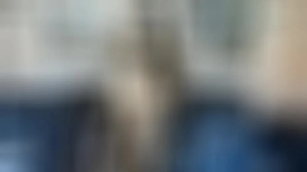 Interprete CamilaPertuz Video 1