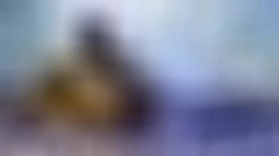 Interprète GorrilaGripMilf Vidéo 1
