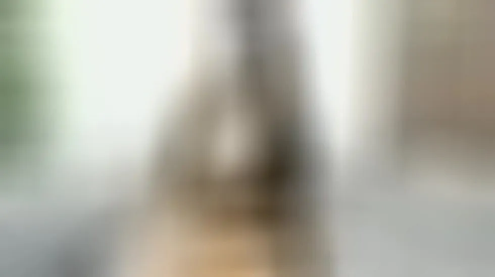 Performer LaraSinsOffical Video 1