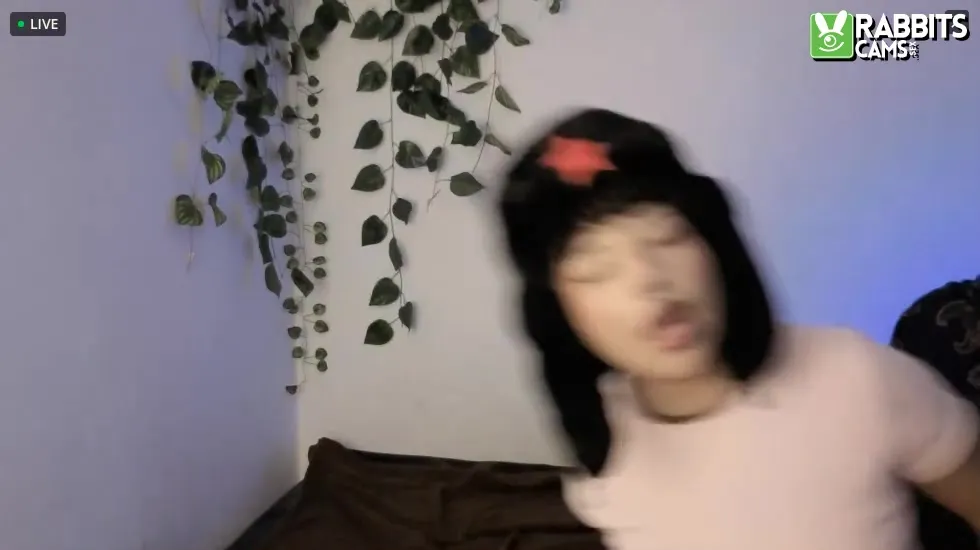 Intérprete ZARAMUU Video 1