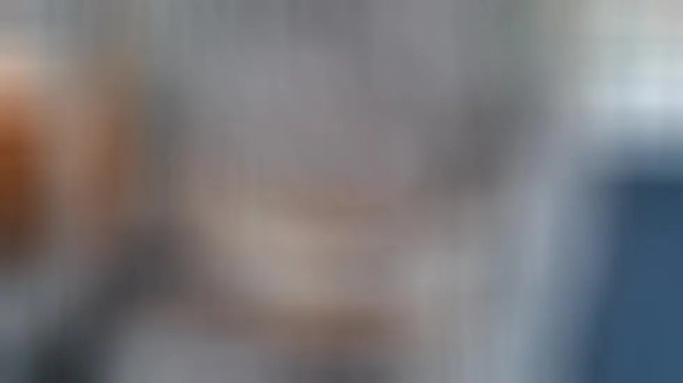 Darsteller Whisk18 Video 1