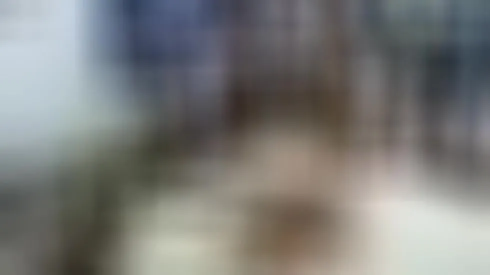 Intérprete Lalapassion Video 1