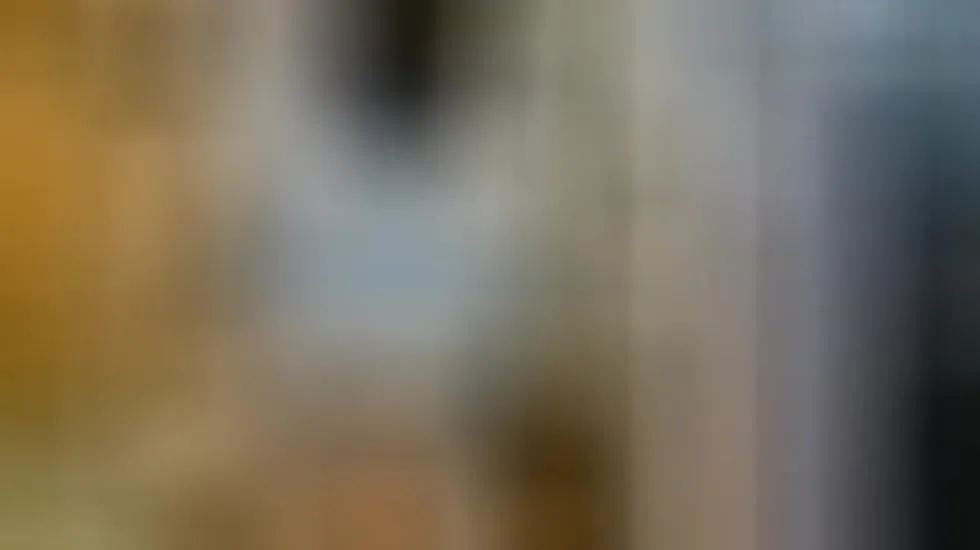 Performer Dolce_Pettite Video 1