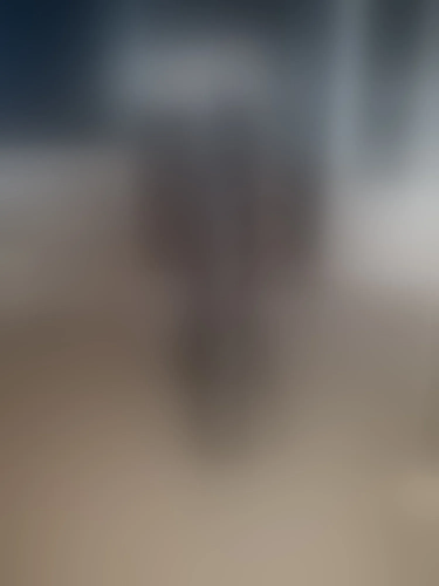 Intérprete PoppyRaven Foto 4