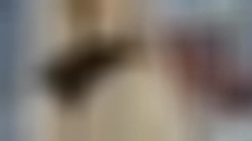Interprète miarossexxXX Vidéo 1