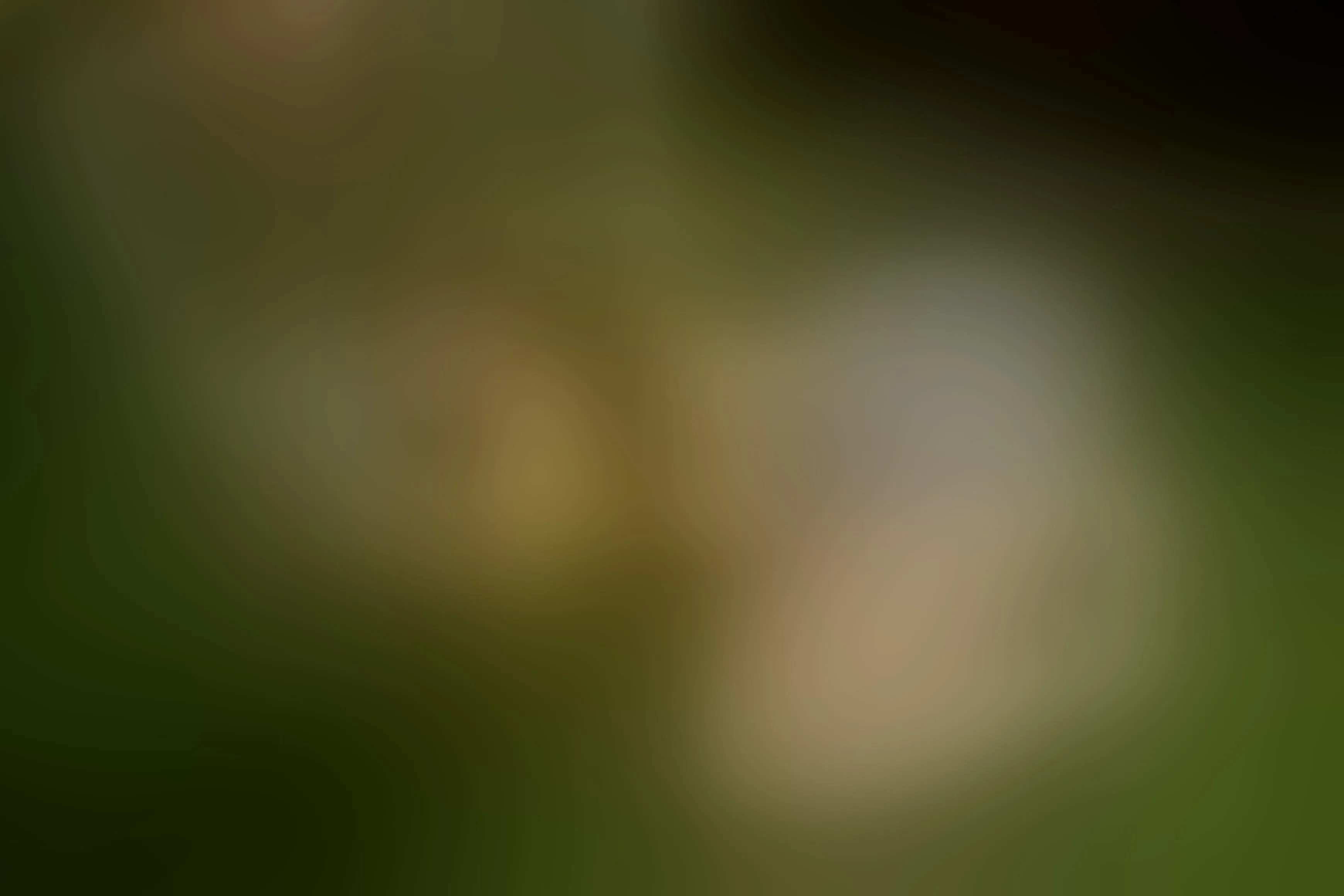 Artiest TessaCooperX Foto 6