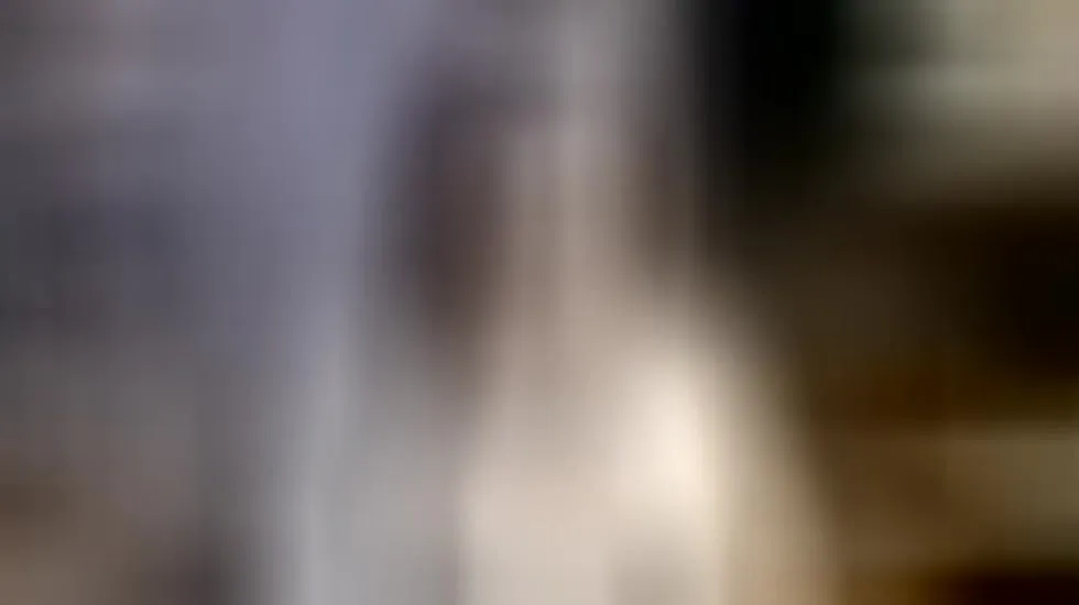 Artista MilenaHayez Video 1