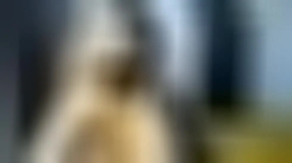 Artista DESI_BEAUTY20 Video 1