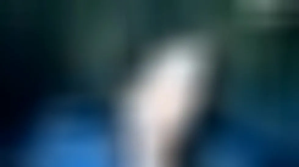 Artista CarolineSoles Video 1