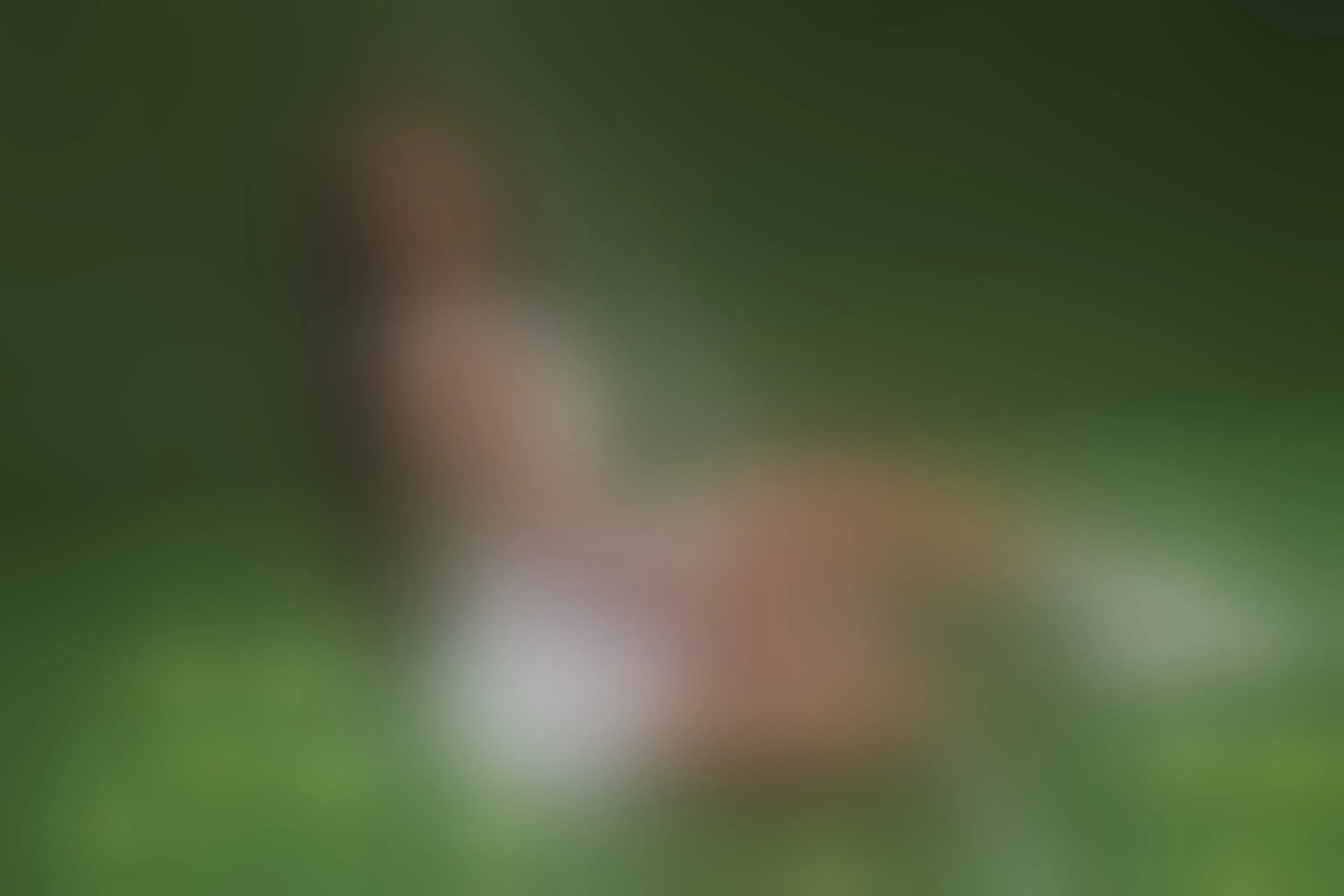 Intérprete JasminAlvarez Foto 10