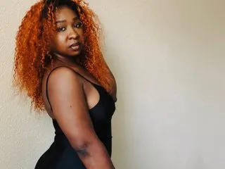 ZuriHush